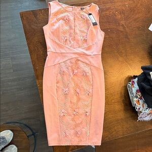 Elegant Pink Embroidered Dress